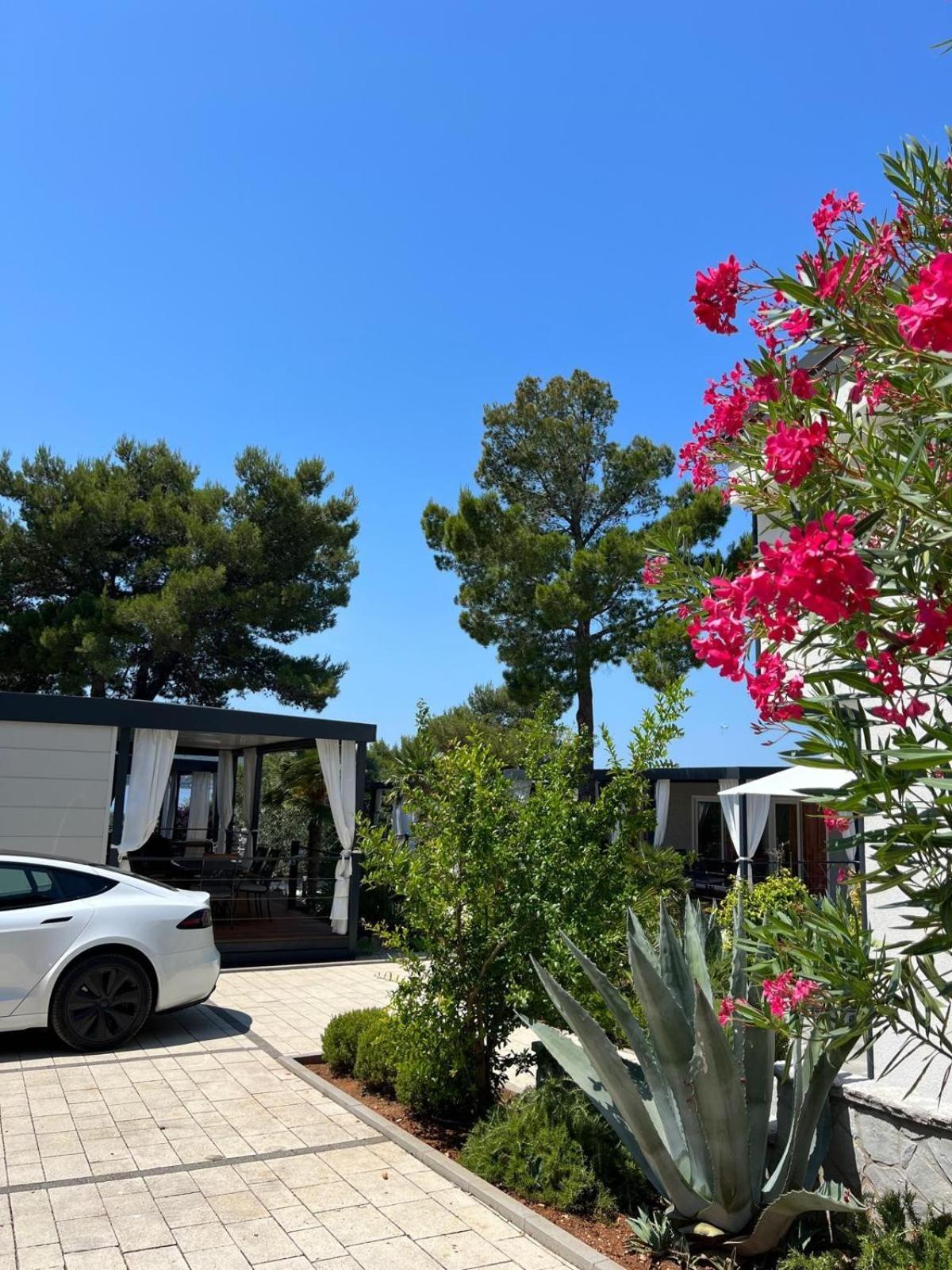 Dalmaris Camp - Prestige Mobile Homes Biograd Na Moru Exterior photo